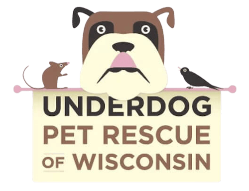 Under dog rescue