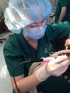 Chelsey doing X-rays