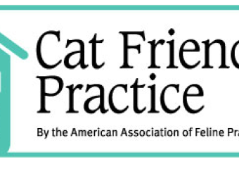 Cat Friendly Staff!